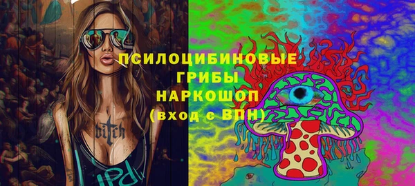 apvp Богородск